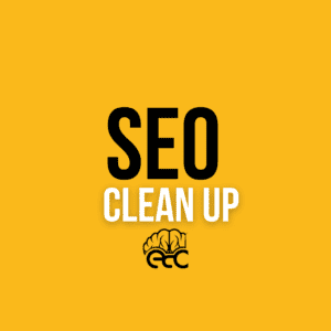 SEO Cleanup Service for ecommerce websites